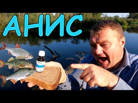 Видео: Любят ли рыбы АНИС? Проверим! Подводная съёмка.