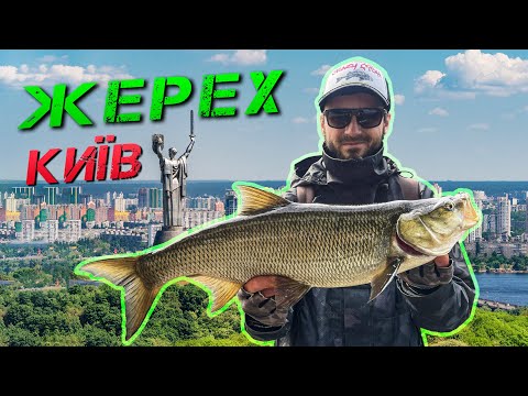 Видео: ✅Оце ПОКЛЬОВКИ!!! Ловля ЖЕРЕХА на Дніпрі✅