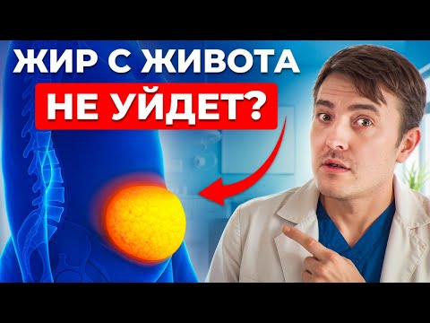 Видео: ВОТ почему выпирающий живот не уходит! Главный блокатор похудения