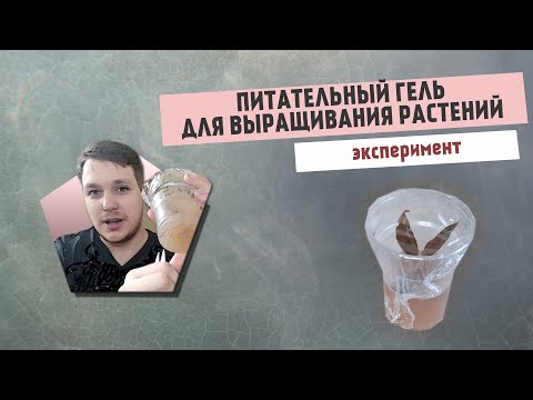 Видео: Эксперимент| ПИТАТЕЛЬНЫЙ ГЕЛЬ ДЛЯ ВЫРАЩИВАНИЯ РАСТЕНИЙ