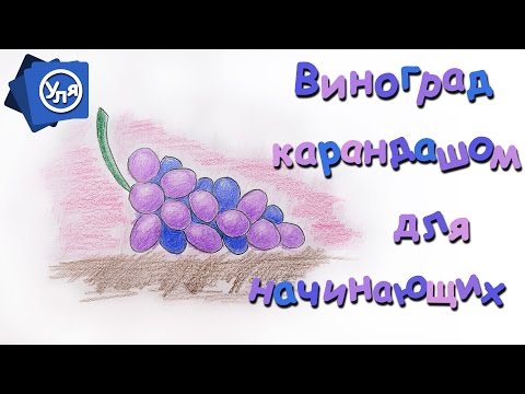 Видео: Как нарисовать виноград