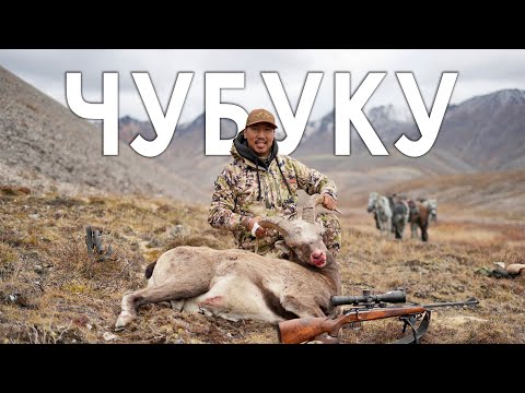 Видео: ГОРНАЯ ОХОТА на ЯКУТСКОГО СНЕЖНОГО БАРАНА - ЧУБУКУ