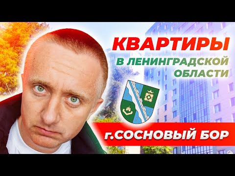 Видео: Цены на квартиры в Ленинградской области. Город Сосновый Бор.
