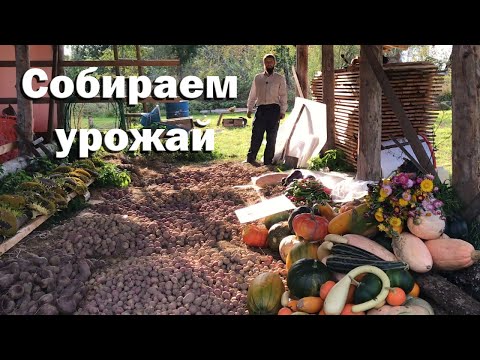 Видео: Большой урожай // Наводим красоту.