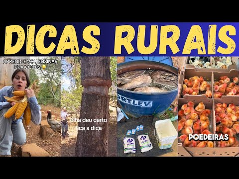 Видео: Советы для Росы. Посмотрите, как сделать это правильно!...