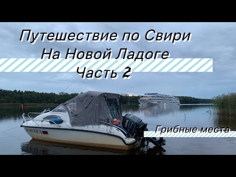 Видео: Путешествие по Свири на катере, грибная часть