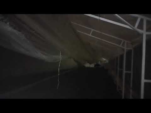 Видео: 18 декабря 2024 г.