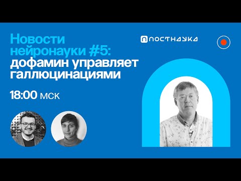 Видео: Новости нейронауки #5: дофамин «управляет» галлюцинациями, муравьи меняют объем мозга