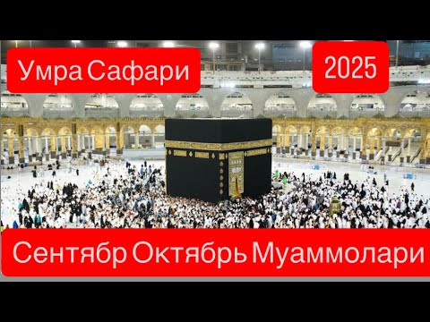 Видео: Умра сафарига Бориш Нархлари? 
