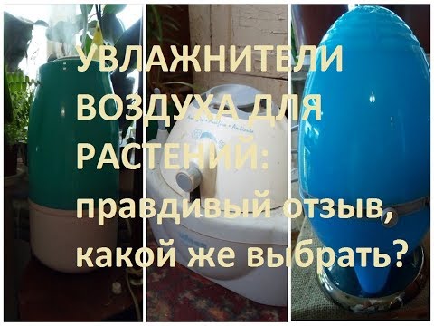 Видео: УВЛАЖНИТЕЛИ ВОЗДУХА ДЛЯ РАСТЕНИЙ: правдивый отзыв, какой же выбрать?