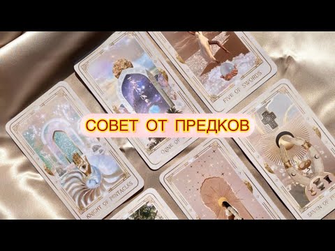 Видео: СОВЕТ ОТ ПРЕДКОВ РОДА#таролог #мистика#нумерология#гадание#таро#shorts#метафорическиекарты