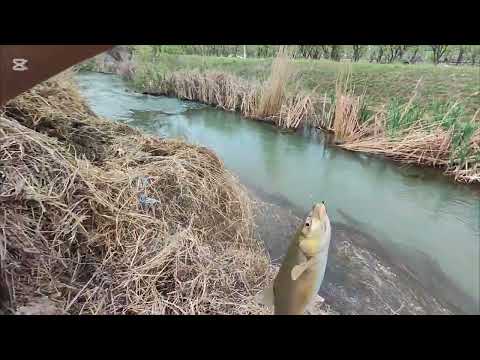 Видео: Вот это рыбалка я не ожидал такою рыбалку