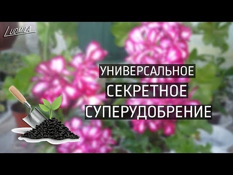 Видео: МОЁ СЕКРЕТНОЕ СУПЕРУДОБРЕНИЕ