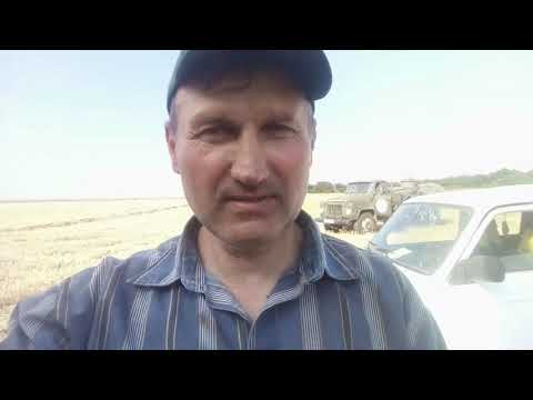 Видео: Замена подшипников  отбойного битера и механизма  привода жатки  комбайна клаас тукано 450.