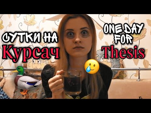 Видео: Сутки на Курсач 😳 (пародия на "Утиные Истории")