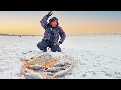 Видео: РЫБАЛКА СУПЕР КЛАССА! РЫЖИЙ МОНСТР рвётся в глубину, СОРОГА КАК СЕЛЁДКА ,лески звенят!