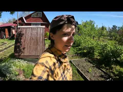 Видео: Дача 25.1