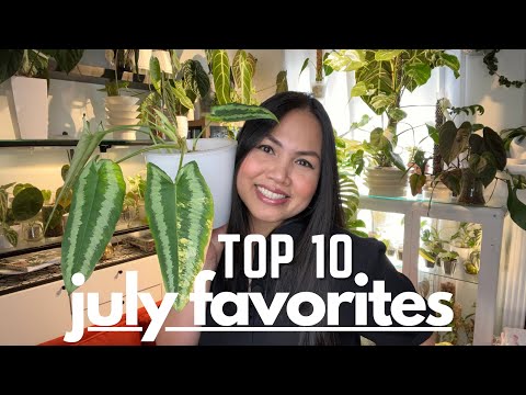 Видео: Эти растения просто ЖАРКИЕ! 😍