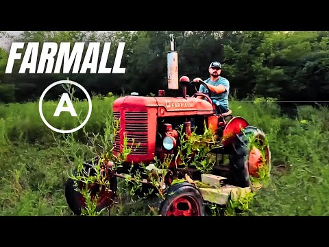 Видео: Говорящие тракторы | Легендарный Farmall A всё ещё в строю