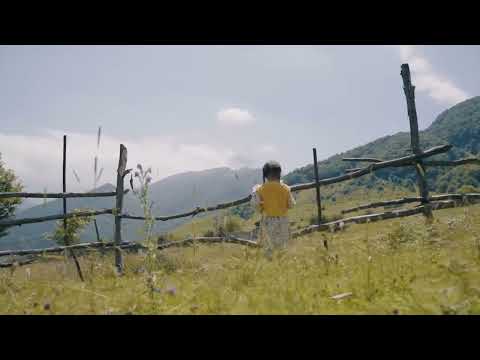 Видео: Нати Тедеева - Гакк-Гакк