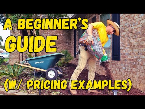 Видео: Как установить мульчу для начинающих владельцев газонного бизнеса