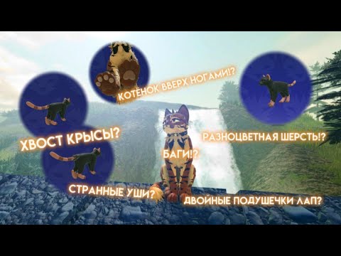 Видео: БЕСПЛАТНЫЕ БАГИ В WCUE?! ^Maple^
