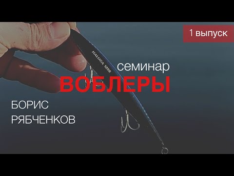 Видео: Выпуск 1. Семинар от Бориса Рябченкова. Воблеры