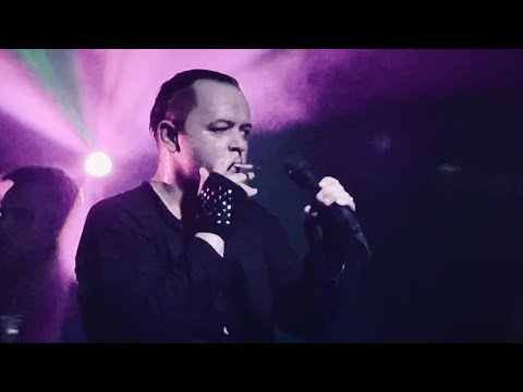 Видео: ПТВП - Наша ночь /Прощай, Mod! 28.08.2022, Питер/