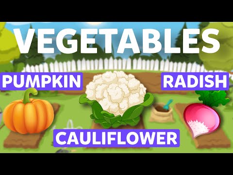 Видео: ОВОЩИ для детей: Словарь для начинающих - Учим английские слова для детей 0+