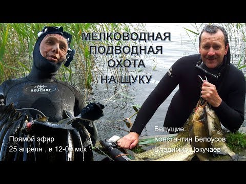 Видео: Подводная охота на щуку на мелководье Запись вебинара от 25 апреля 2018