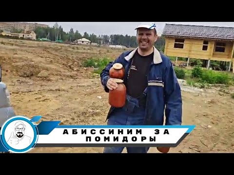 Видео: АБИССИНИМ ЗА ПОМИДОРЫ. // Подключение скважины "по летнему" к насосной станции