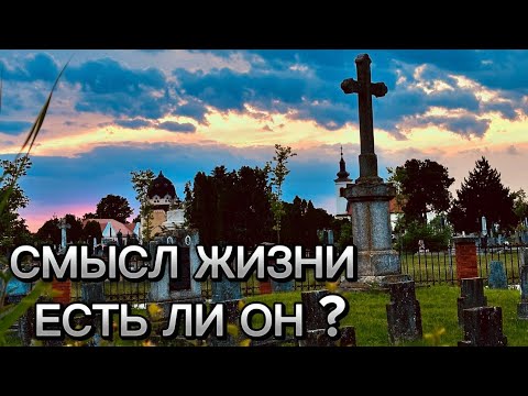 Видео: Есть ли смысл в жизни ?