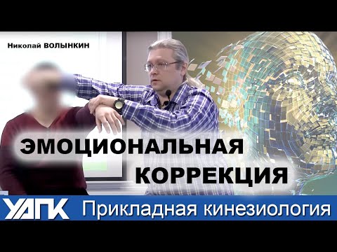 Видео: Алгоритм подбора техники коррекции от Н.Волынкина!