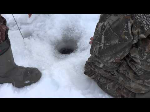 Видео: Рыбалка на Усть-Илимском водохранилище.
