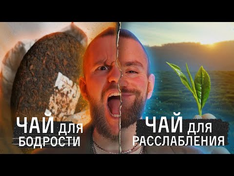 Видео: Какой чай бодрит, а какой расслабляет? Подборка чайного мастера | Чайная мастерская — китайский чай