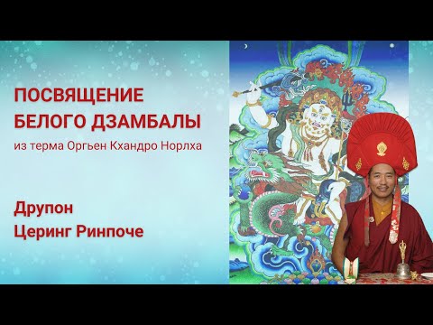 Видео: Посвящение Белого Дзамбалы. Друпон Церинг Ринпоче. 08.01.2024