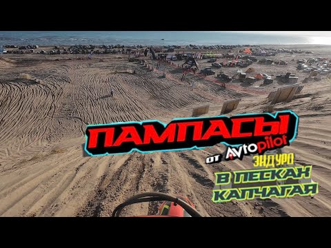 Видео: Зыбучие пески Капчагая | Пампасы 2025