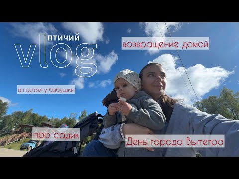 Видео: ПТИЧИЙ ВЛОГ 😆 | В ГОСТЯХ У БАБУШКИ 👵 | ДЕНЬ ГОРОДА ВЫТЕГРА 🏙️ |  ВОЗВРАЩЕНИЕ ДОМОЙ 🏡 | ПРО САДИК 