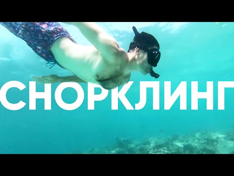 Видео: Снорклинг это не дайвинг. Проблемы с дыхалкой