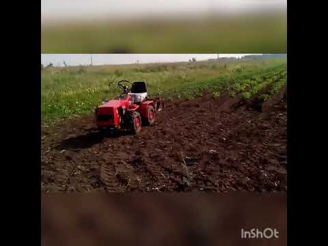 Видео: Окучивание картохи МТЗ 132