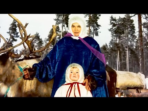 Видео: Кочевье с палатками, дикий гусь и лето у моря. Жизнь коми оленеводов Ненецкого АО | Изьватас олэм