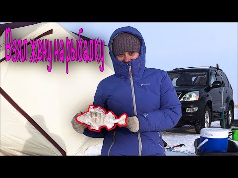 Видео: Рыбалка в Кургальджинском заповеднике  бесплатно. Взял жену на рыбалку! озеро Есей