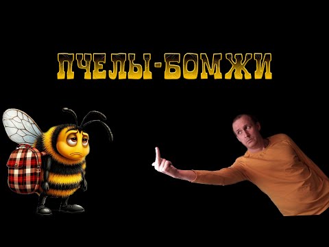 Видео: Приручил рой «диких» пчел - ЭКСПЕРИМЕНТ