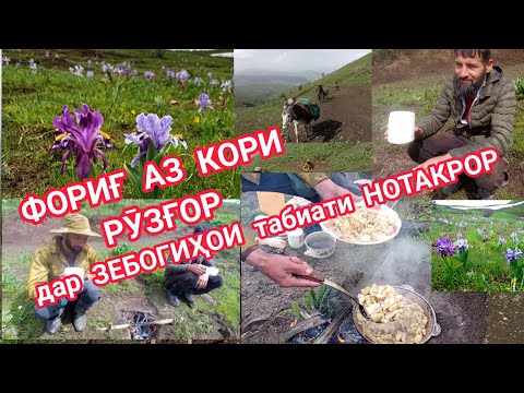 Видео: САЙРЕ ДАР ДИЁРИ ЗЕБОИ ОФТОБЗАМИН
