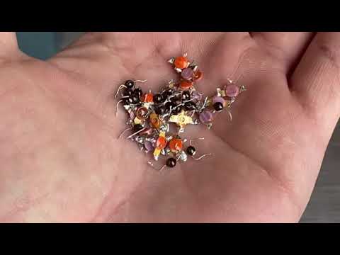 Видео: Деньги из мусора, что люди выбрасывают, я в шоке🤯