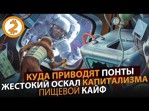 Видео: Куда ведут Понты. Пищевой кайф. Оскал Капитализма. Как я треню.  Монархия.