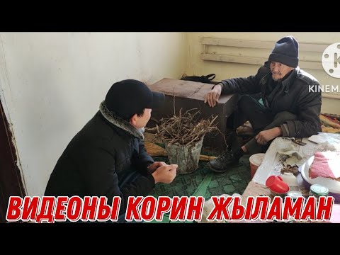 Видео: ЕСБОС ПАПАСЫН НЕ ДЕП КОРКЫТТЫ ВИДЕОНЫ КОРИН ХАЛЫККА ЖЕТИП БАРСЫН
