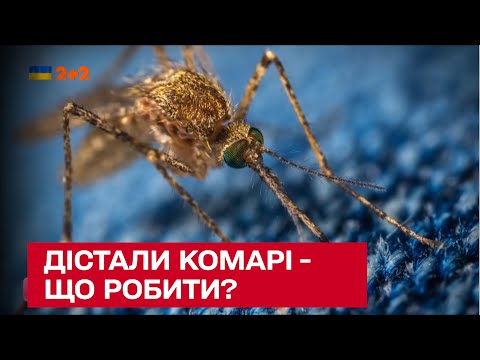 Видео: 😡🦟 Достали комары – что делать?