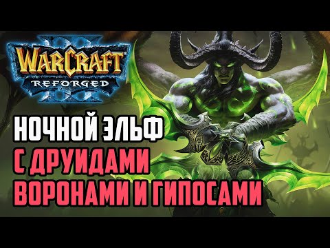 Видео: Ночной Эльф с Друидами Воронами и Гиппосами: Colorful (Ne) vs Fortitude (Hum) Warcraft 3 Reforged