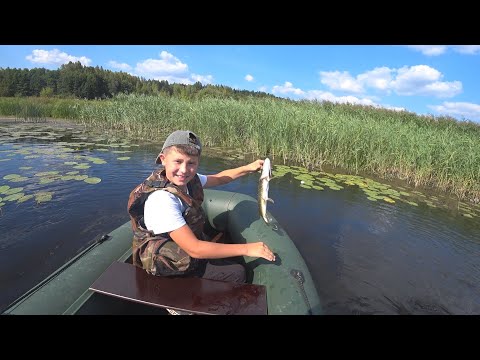 Видео: С молодым рыбаком за щукой.